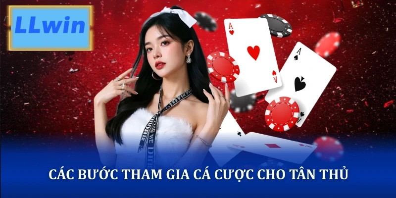 Evolution - Khám Phá Thế Giới Casino Live Chuyên Nghiệp Các bước tham gia cá cược Evolution cho tân thủ